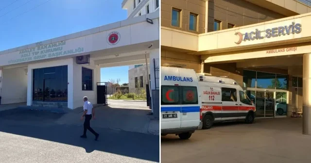 Yan yatan römorkun altında kalan 6 yaşındaki Üveys yaşamını yitirdi Diyarbakır Haberleri