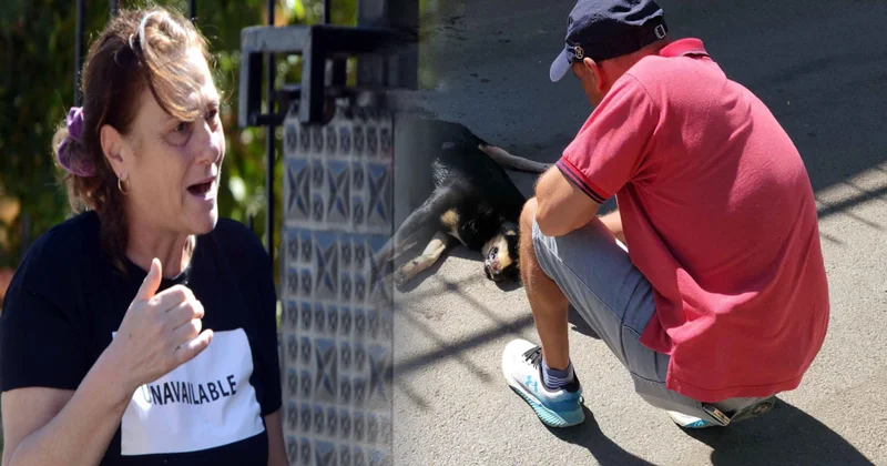 Mahalle yarış pistine döndü, olan canlara oldu Sözcü Gazetesi