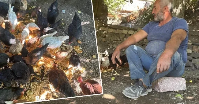Mahalleli kabusu yaşıyor! Gece gündüz nöbet tutuyorlar: 45 yıldır böyle bir olayla ilk kez karşılaştık