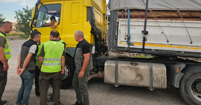Beypazarı nda Orman İşletme Müdürlüğü ekipleri denetim yaptı Ankara Haberleri