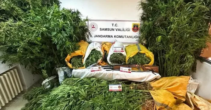 Samsun’da 57 kilo 955 gram kubar esrar ele geçti