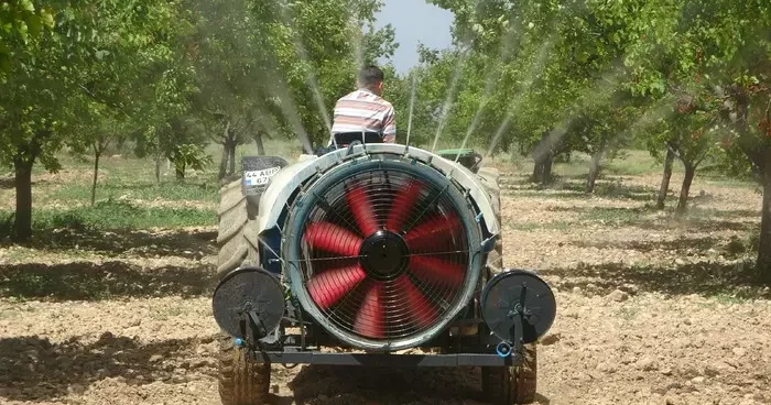Malatya da yeniden yeşeren kayısı ağaçları çiftçileri umutlandırdı