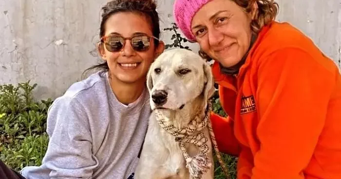 Depremde kurtarılan köpek, Datça daki yeni hayatına devam ediyor