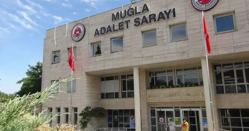 11 yaşındaki çocuğa sokak köpekleri saldırdı! CHP’li Belediye Başkanına soruşturma
