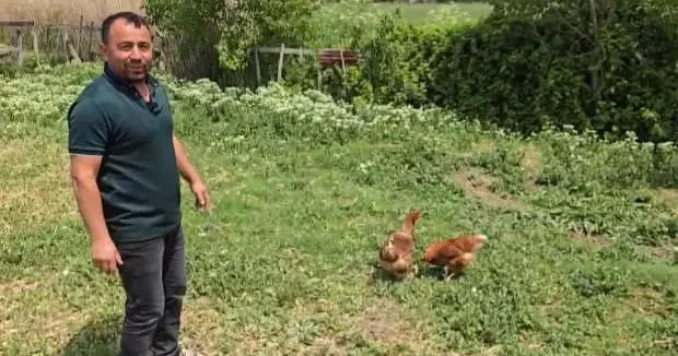 Amasya haberleri Tilkiyi bahçede yakalayınca mizahı patlattı: Kanun namına teslim ol 19 Mayıs 2025