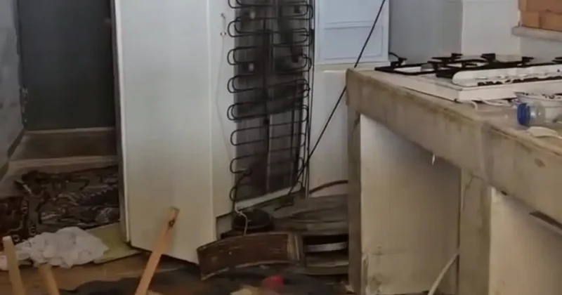 Ayılar belediye başkanına da torpil yapmadı! Evini talan ettiler