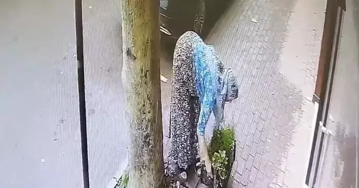 Bir kasa çiçeği böyle götürdü