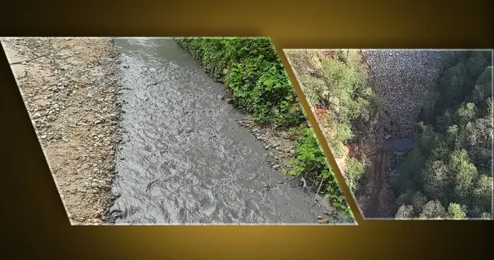 AK Partili vekilin şirketine isyan! Göz göre göre katliam gerçekleştiriliyor: Ticari sır denilerek üstü kapatılıyor...