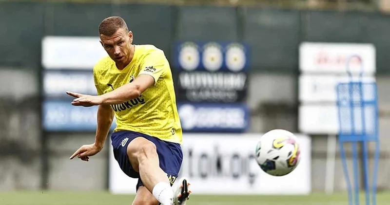 Dzeko ve Hajradinovic e Bosna Hersek ten milli davet