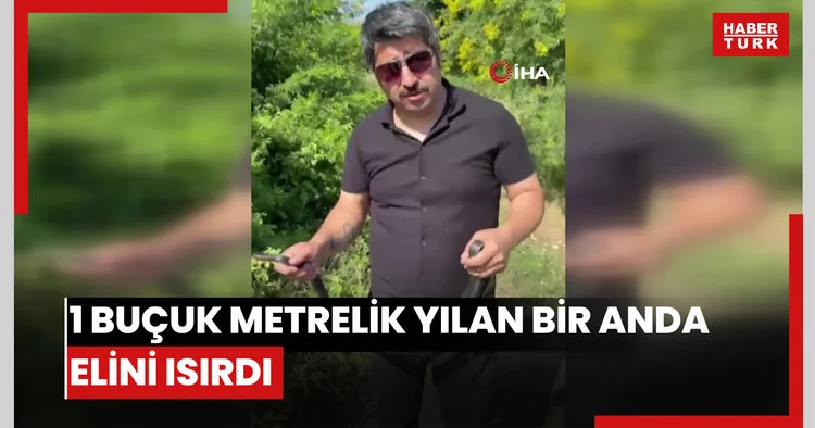 Zararsız, öldürmeyin dediği 1 buçuk metrelik yılan bir anda elini ısırdı