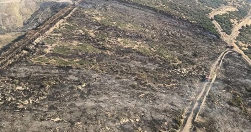 İzmir de makilik alanda çıkan yangın kontrol altına alındı Güncel haberler
