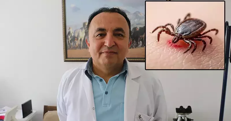Uzmanından keneyi tırnaklarınız ile ezmeyin uyarısı
