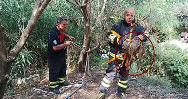 Hatay haberleri Son hali endişe yarattı: Kuyuya düştü, itfaiye kurtardı 19 Haziran 2025