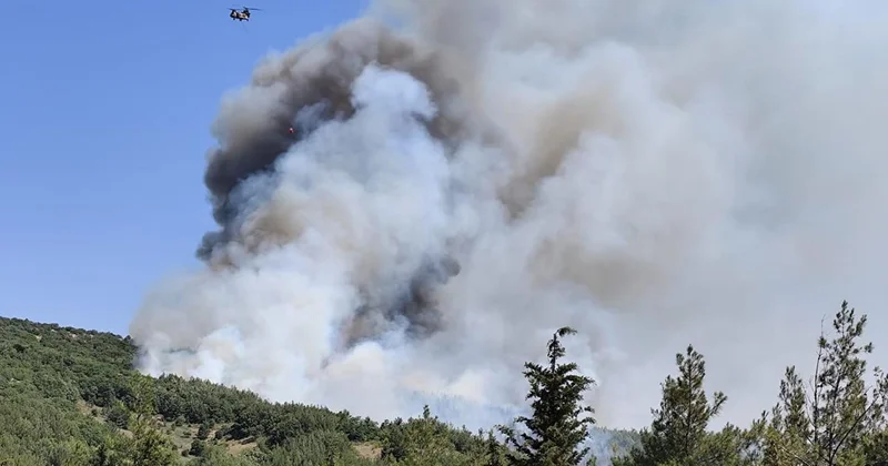 Balıkesir deki orman yangınına 10 dakika sonra müdahale edildi