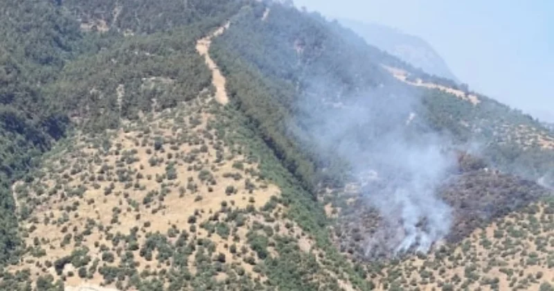 Alaşehir’de yangın: 4 uçak, 2 helikopterle müdahale devam ediyor Sözcü Gazetesi