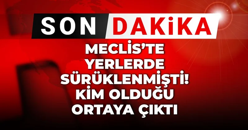 Son dakika Meclis’te yerlerde sürüklenmişti! Kim olduğu ortaya çıktı
