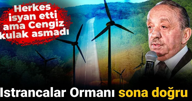 Herkes isyan etti ama Cengiz kulak asmadı: Istrancalar Ormanı sona doğru