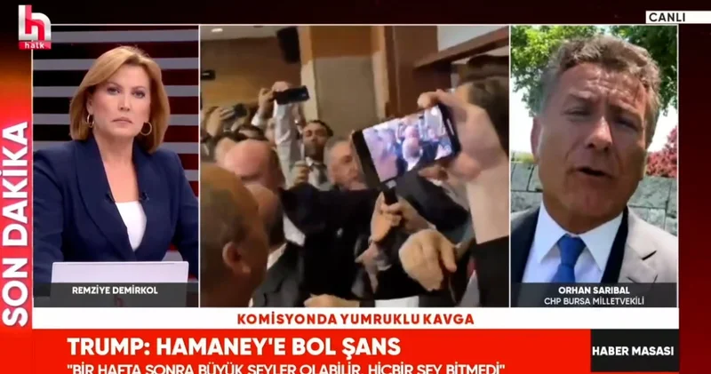 Tehlikede olan bir tek zeytinlikler değilmiş! CHP li Sarıbal büyük ÇED skandalını açıkladı