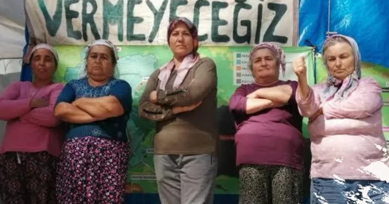 Köylüler zeytinlik için Ankara’ya gidiyor Sözcü Gazetesi