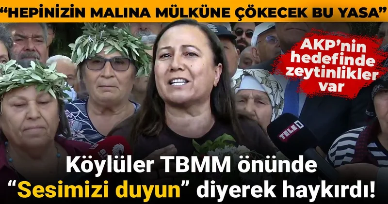 AKP’nin hedefinde zeytinlikler var! Köylüler TBMM önünde “Sesimizi duyun” diyerek haykırdı!
