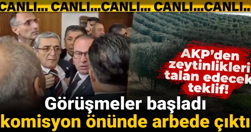 AKP’den zeytinlikleri talan edecek teklif! Görüşmeler başladı, komisyon önünde arbede çıktı
