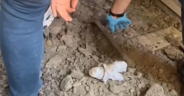 Birlikte içki içtiği arkadaşını tabancayla vuran şüpheli, 15 gün sonra bungalovda yakalandı Sakarya Haberleri