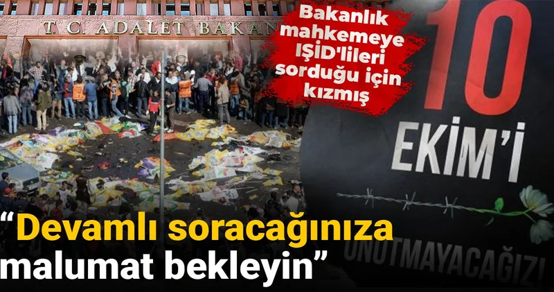 Bakanlık mahkemeye IŞİD lileri sorduğu için kızmış: Devamlı soracağınıza malumat bekleyin