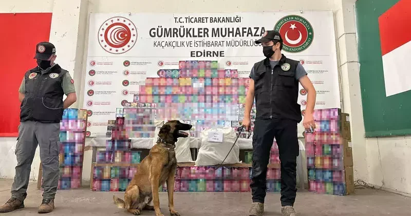 Kapıkule’de 29,5 kilo esrar ele geçirildi