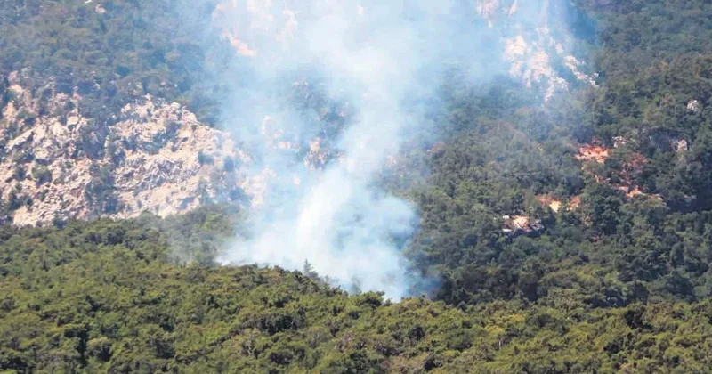 Orman yangınına davetiye çıkarıyorlar