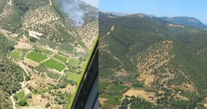 Manisa da çıkan makilik yangını kontrol altında