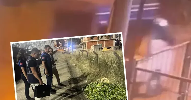 O salatalıklar başını yaktı: 17.2 milyon liraya kadar ceza kesilecek!