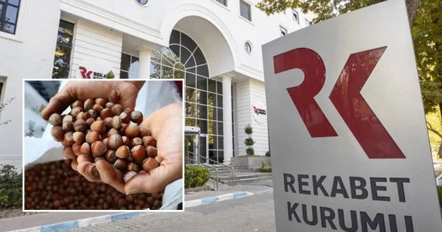 Fındık alım sezonu öncesi Rekabet Kurumu’ndan uyarı Ekonomi Haberleri