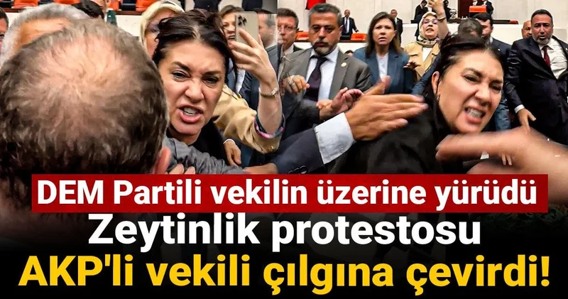 Zeytinlik protestosu AKP li vekili çılgına çevirdi! DEM Partili vekilin üzerine yürüdü