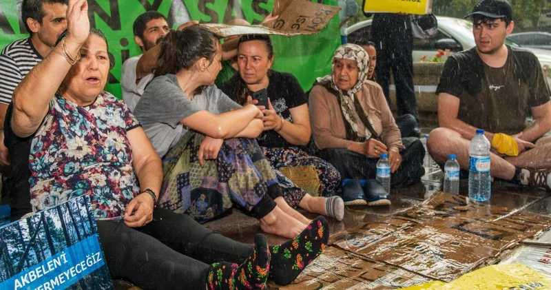 Zeytinliklerin katledilmesi kanun teklifinin 4 sahibini açıkladı: Yalanlar ve gerçekler diyerek anlattı