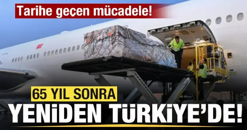 Marcus Aurelius 65 yıl sonra Türkiye ye geri döndü! Tarihe geçen mücadele!