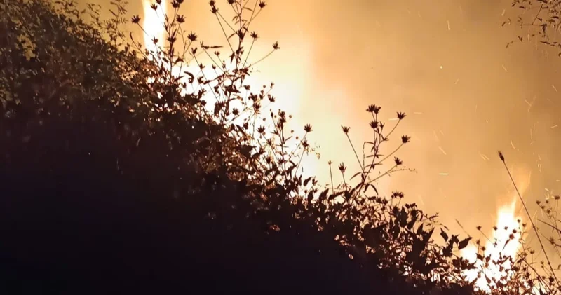 Bolu da çıkan örtü yangını söndürüldü