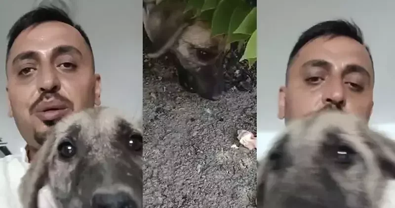 Ağır hasarlı binaya girip yavru köpeği kurtardı