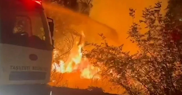 Bolu da tarım alanında yangın çıktı VİDEO İZLE