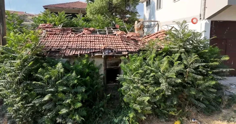 Bir şehir bunu konuşuyor: Keloğlan ın Çankırılı olduğu iddiası gündem oldu