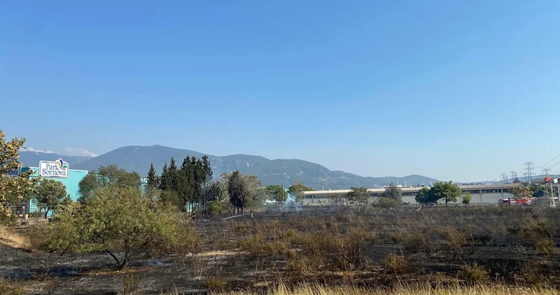 İzmir’de çıkan ot yangını AVM otoparkına sıçradı