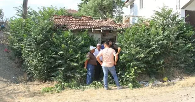 Çankırı haberleri Bir şehri saran iddia: Keloğlan ın memleketi aranıyor! 19 Temmuz 2025