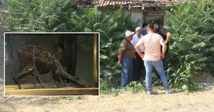 Bir şehir bunu konuşuyor: Keloğlan’ın memleketi neresi? Şu anda da mağarada hiç bozulmadan duruyor
