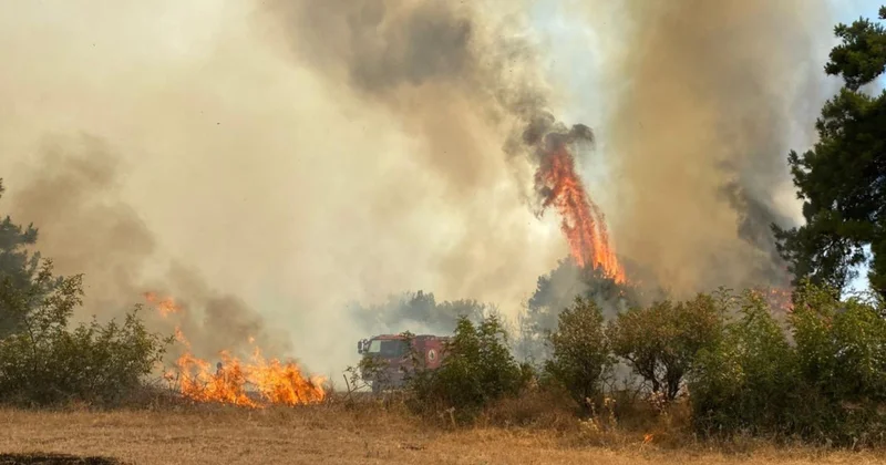 OGM den yangın uyarısı: Bir anlık dikkatsizlik afete neden olabilir