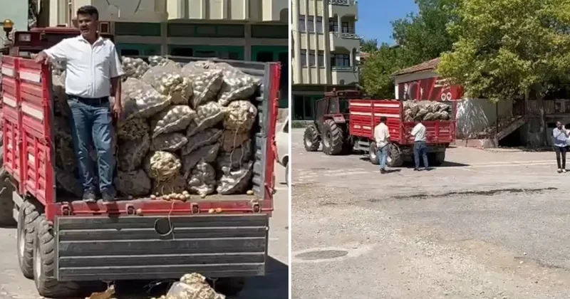 İlçe başkanının patates şovu pahalıya patladı