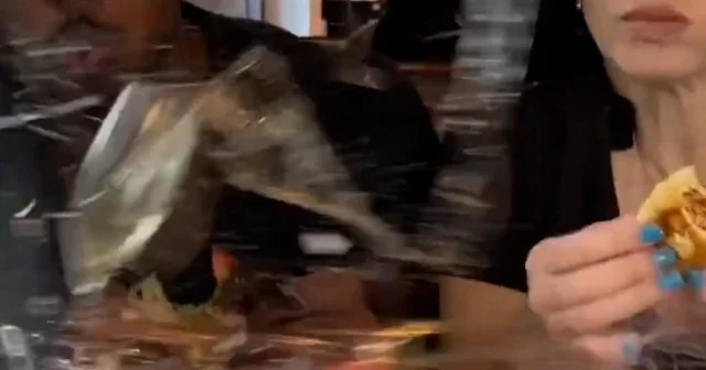 Restorana giren araç yemek keyfini böldü: Çiftin talihsiz anları viral oldu VİDEO İZLE