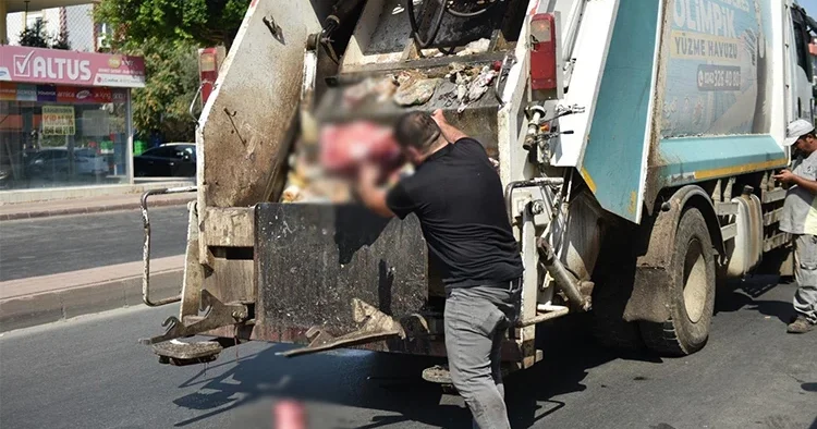 Ekipler yumurta ihbarı üzerine gitti, bu manzarayla karşılaştı! Korkunç görüntüler: İmha edilmek üzere el konuldu