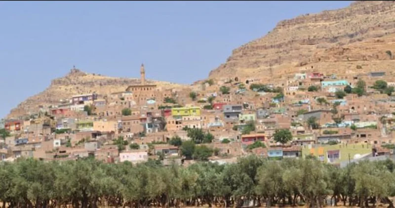 Mardin haberleri: 12 yaşındaki Zeynep düşüp öldü iddiası SON DAKİKA HABER Son dakika haberleri