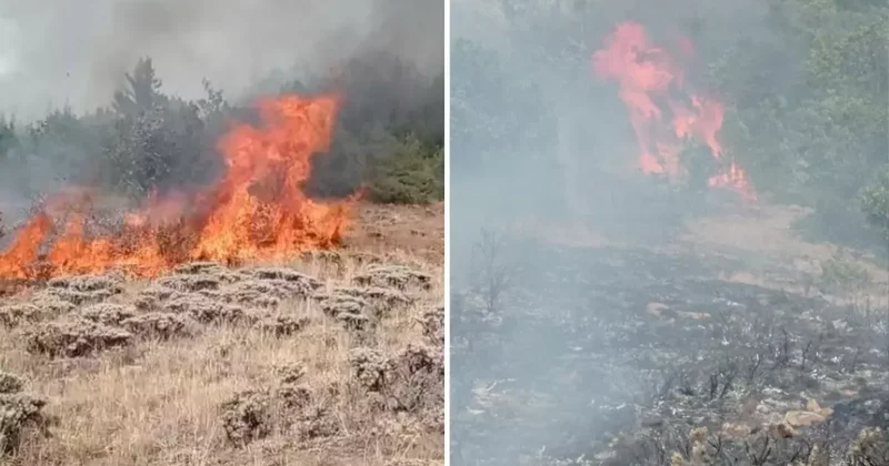 Gümüşhane de çobanın yaktığı ateş yangına neden oldu