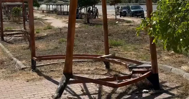 Parktaki kamelyaları mangal yakacağı yapan şahıslara vatandaştan sert tepki: İnsan olmayı beceremiyoruz VİDEO İZLE