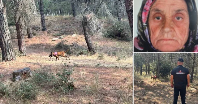 Malkara da kaybolan yaşlı kadını arama çalışmalarına köpekler de katıldı Gündem Haberleri